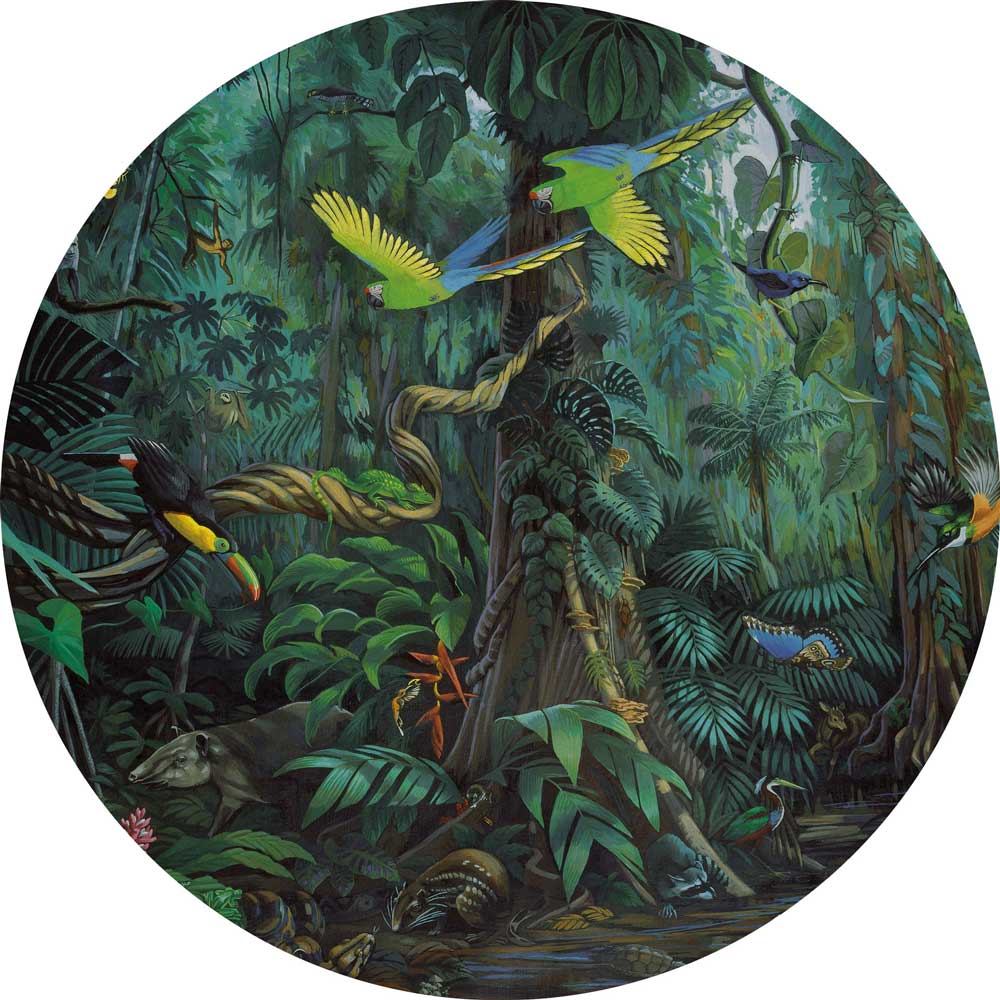 Wallpaper Circle Tropical Landscapes