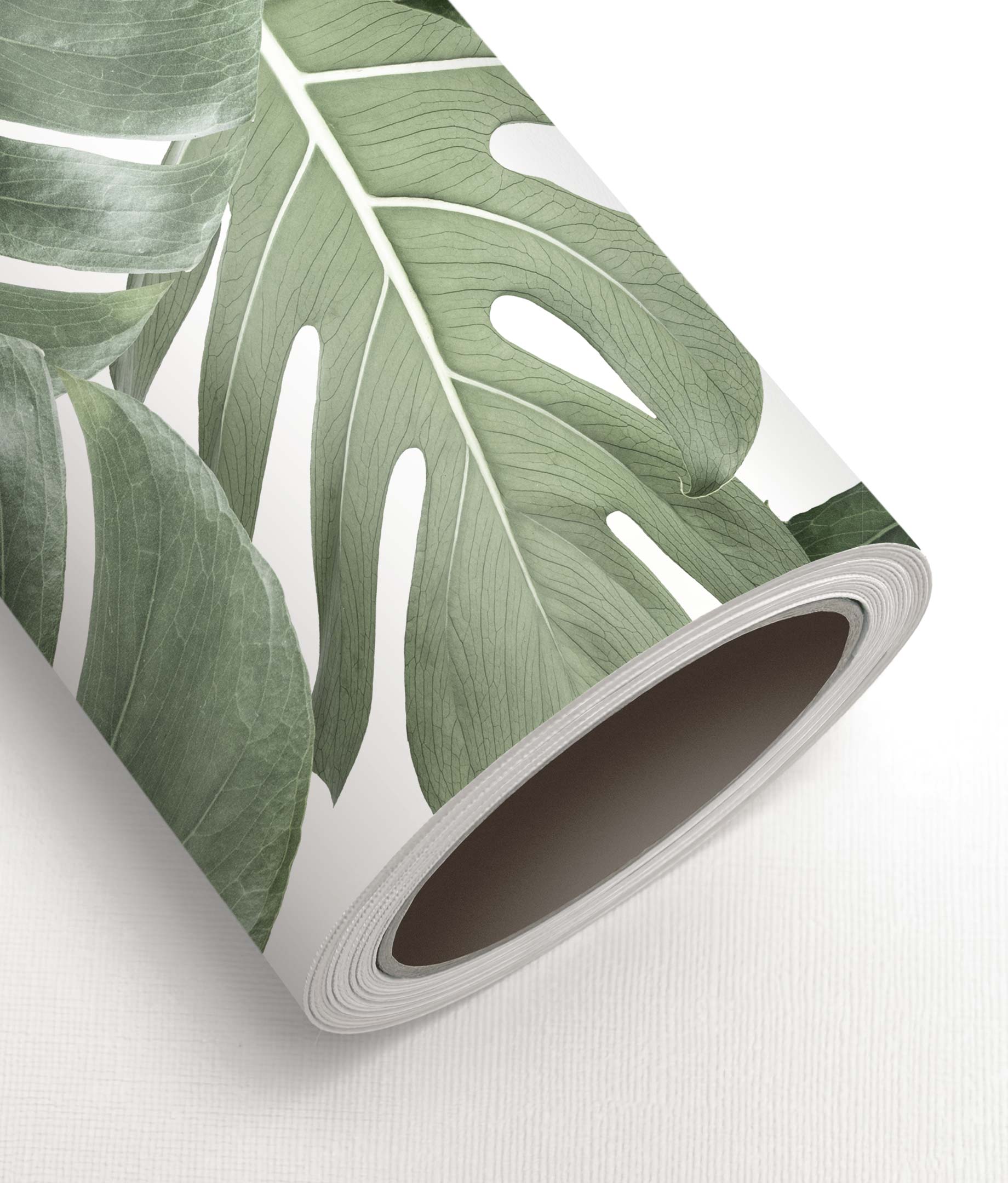 Botanical wallpaper Monstera, 97.4 x 280 cm