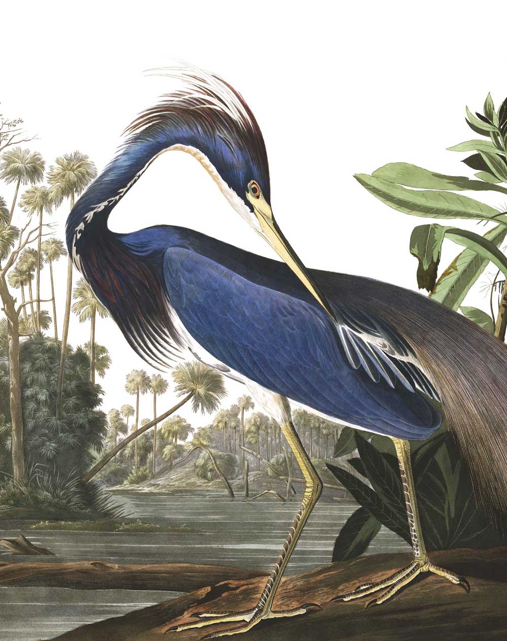 Wallpaper Panel Louisiana Heron, 142.5 x 180 cm