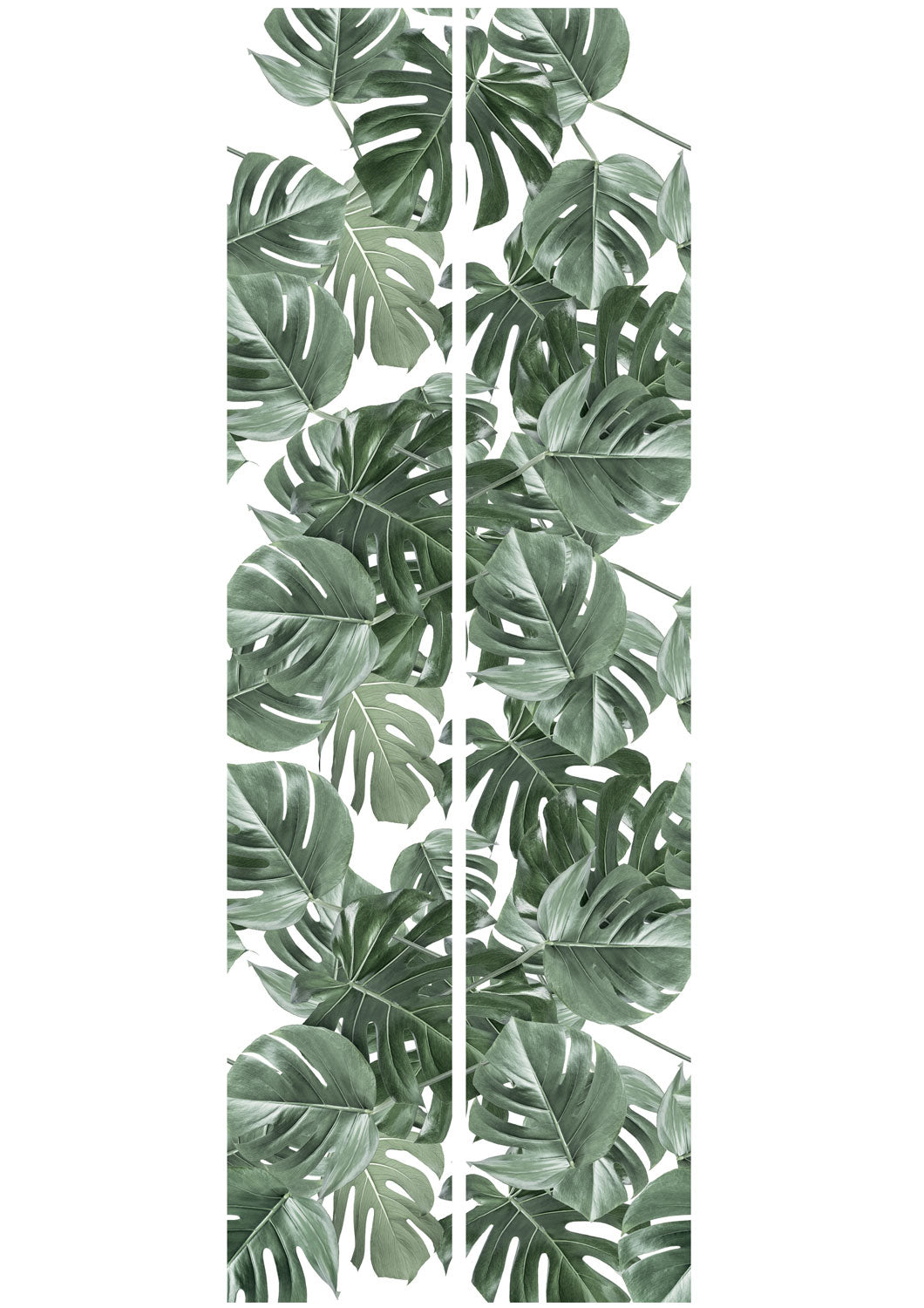 Bladeren behang Monstera, 97.4 x 280 cm, WP-584, Banen