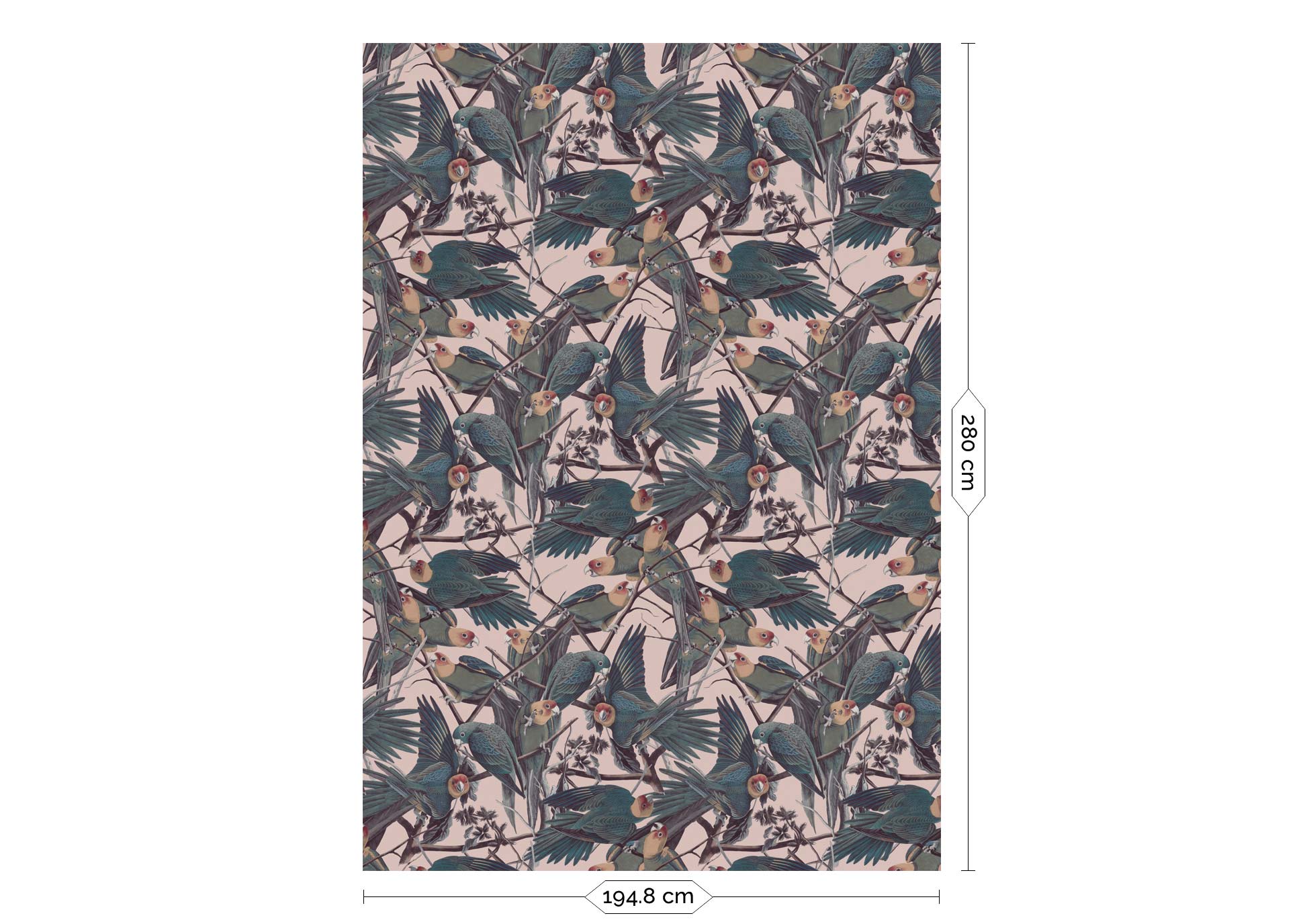 Botanisch behang Parrots