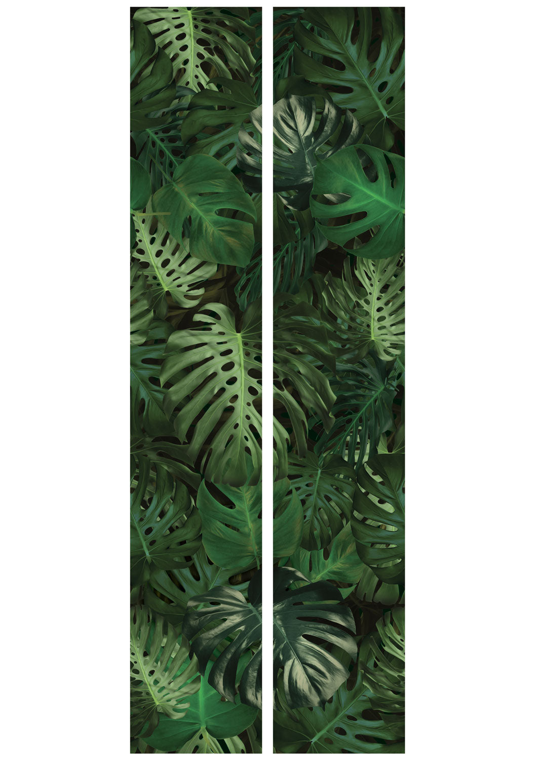 Botanisch bladeren behang, Monstera, WP-500, Sheets