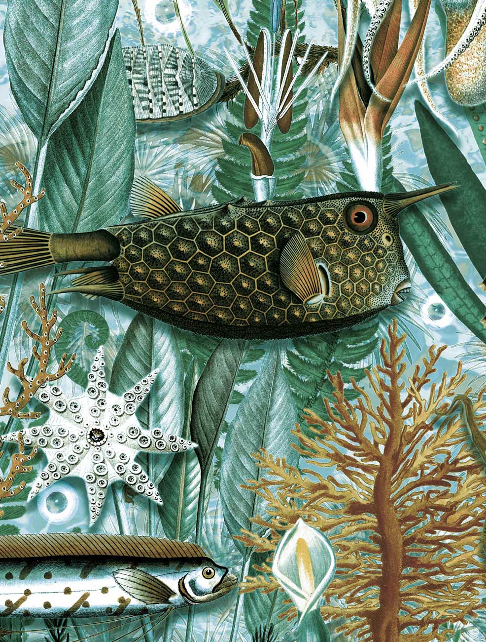Botanisch vissen behang Underwater Jungle, WP-688, Close