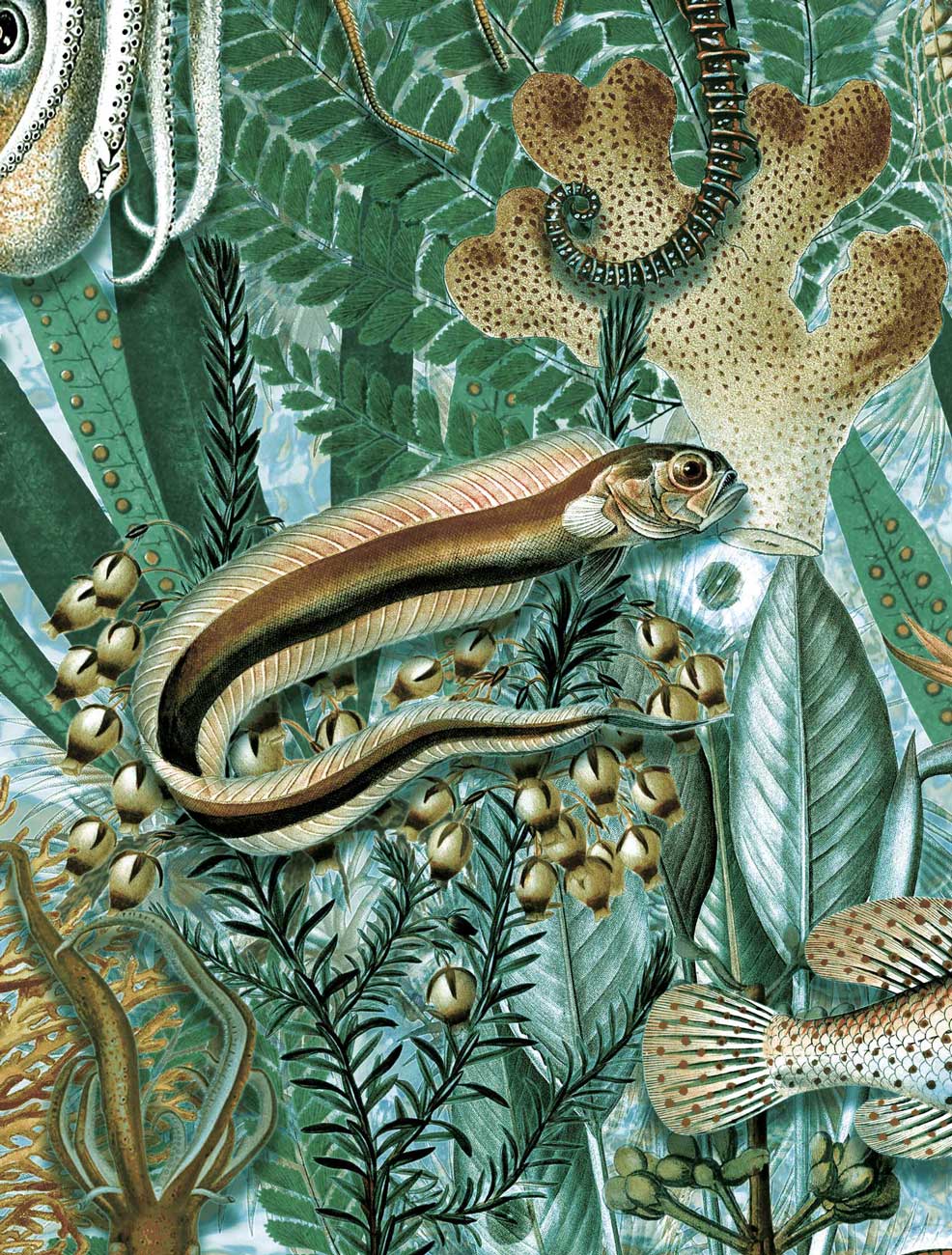 Botanisch vissen behang Underwater Jungle, WP-688, Close 2
