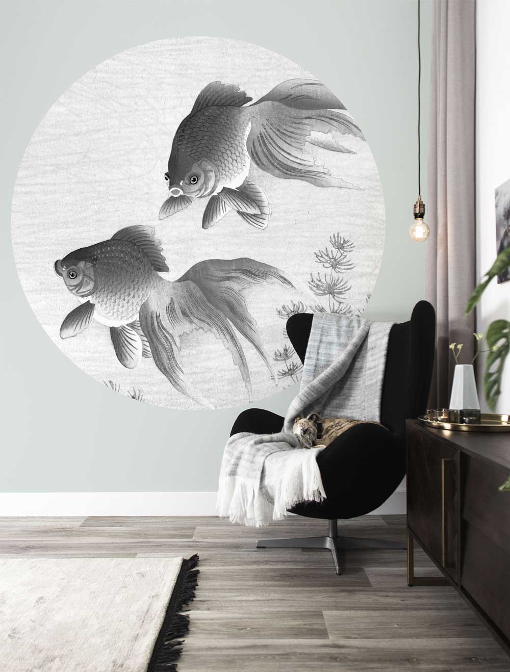 Wallpaper Circle Goldfish