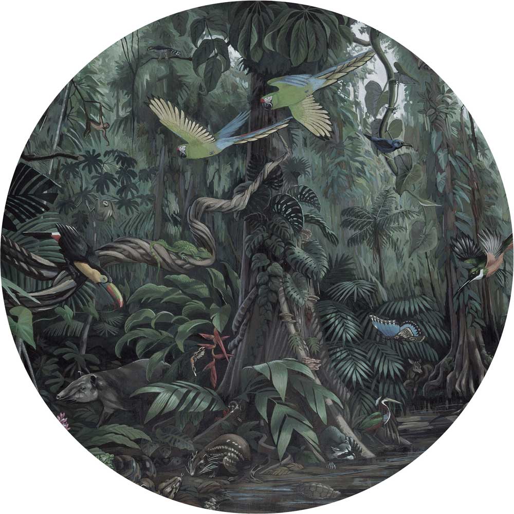 Wallpaper Circle Tropical Landscapes
