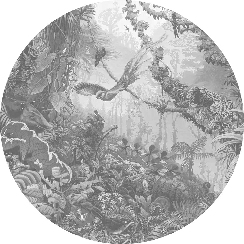 Wallpaper Circle Tropical Landscapes