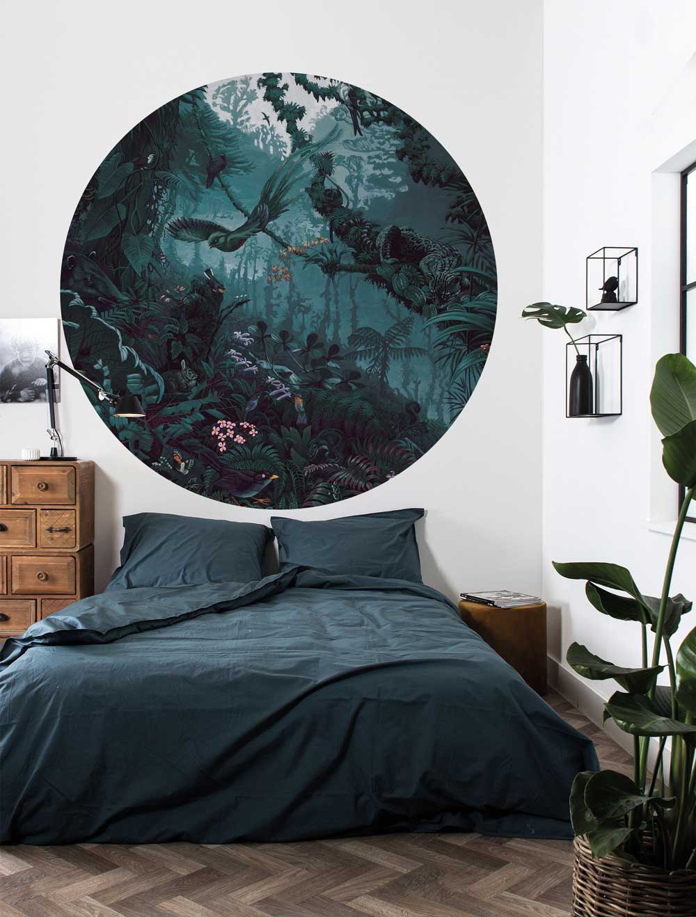 Wallpaper Circle Tropical Landscapes