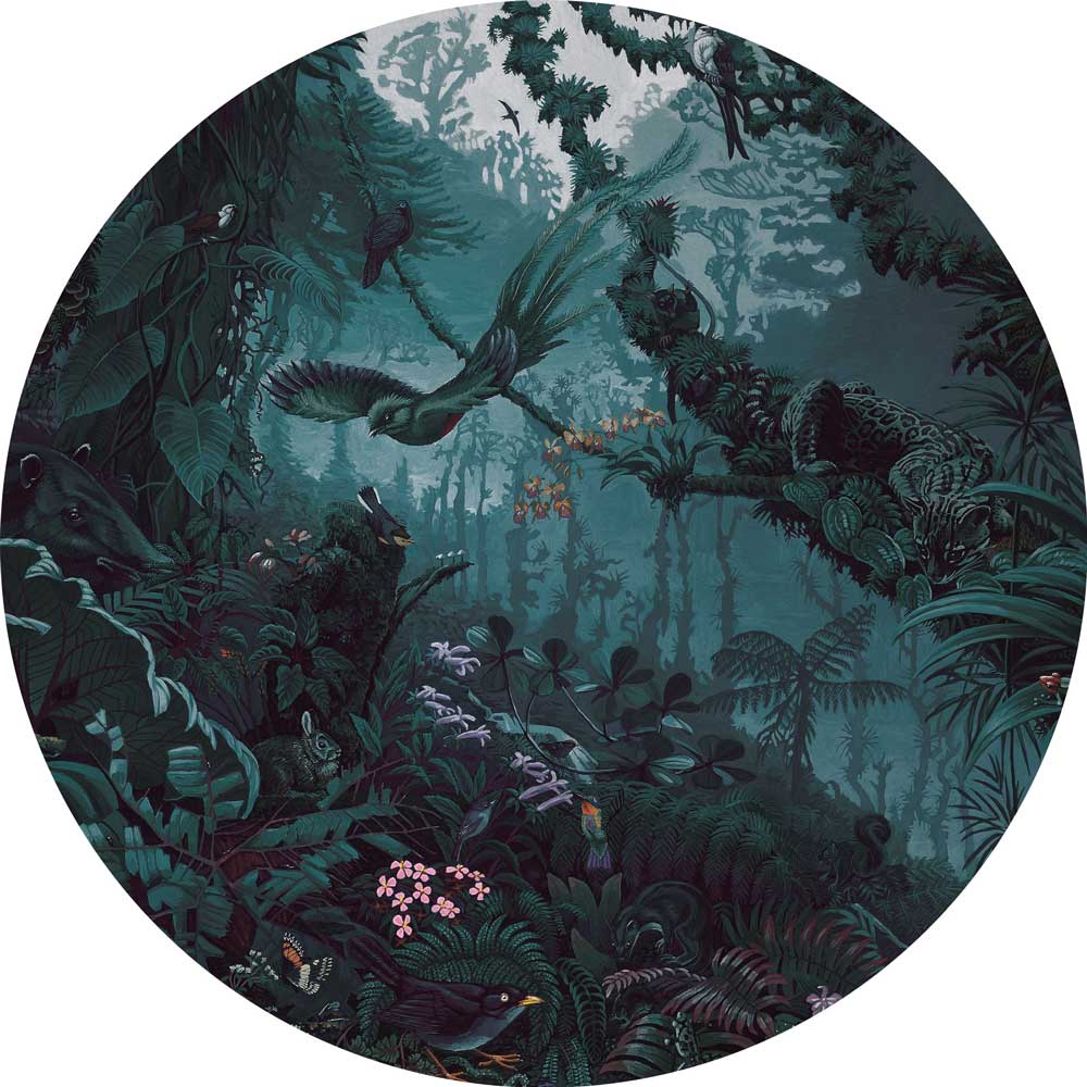 Wallpaper Circle Tropical Landscapes