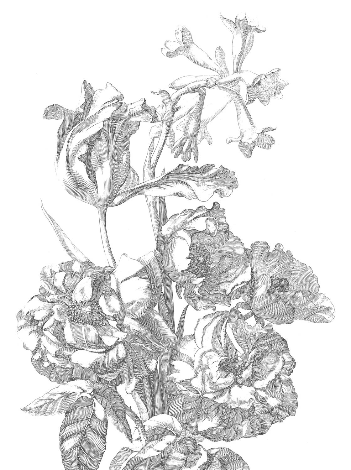Blumentapete Engraved Flowers