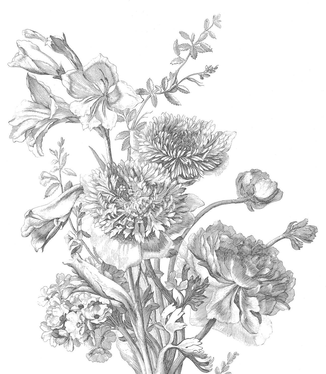 Blumentapete Engraved Flowers