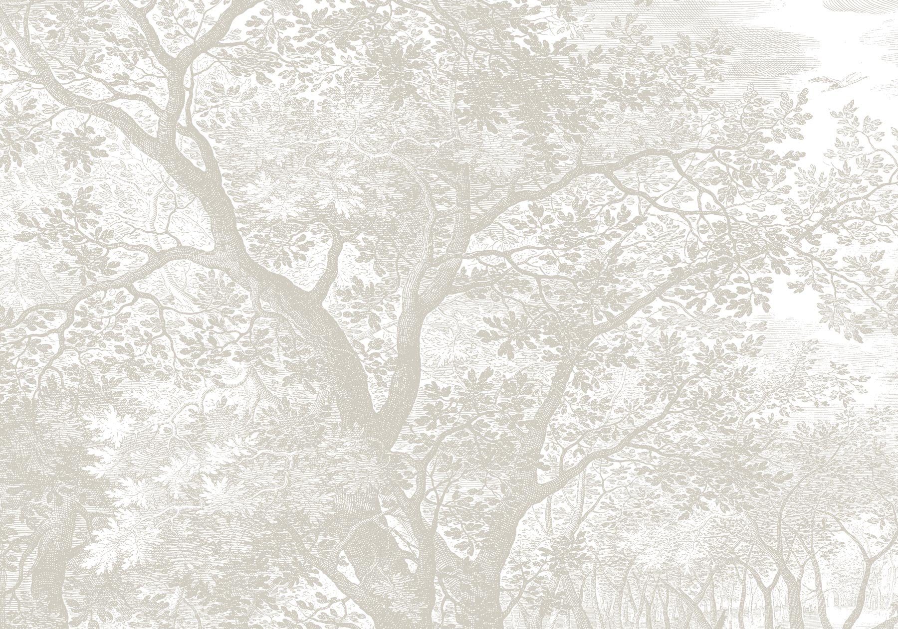 Engraved Landscapes, wallpaper with drawn landscapes, Grey