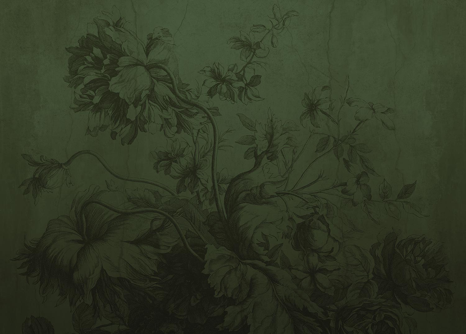Gradient Flowers, Blumentapete von Frans Uyterlinde, Grün