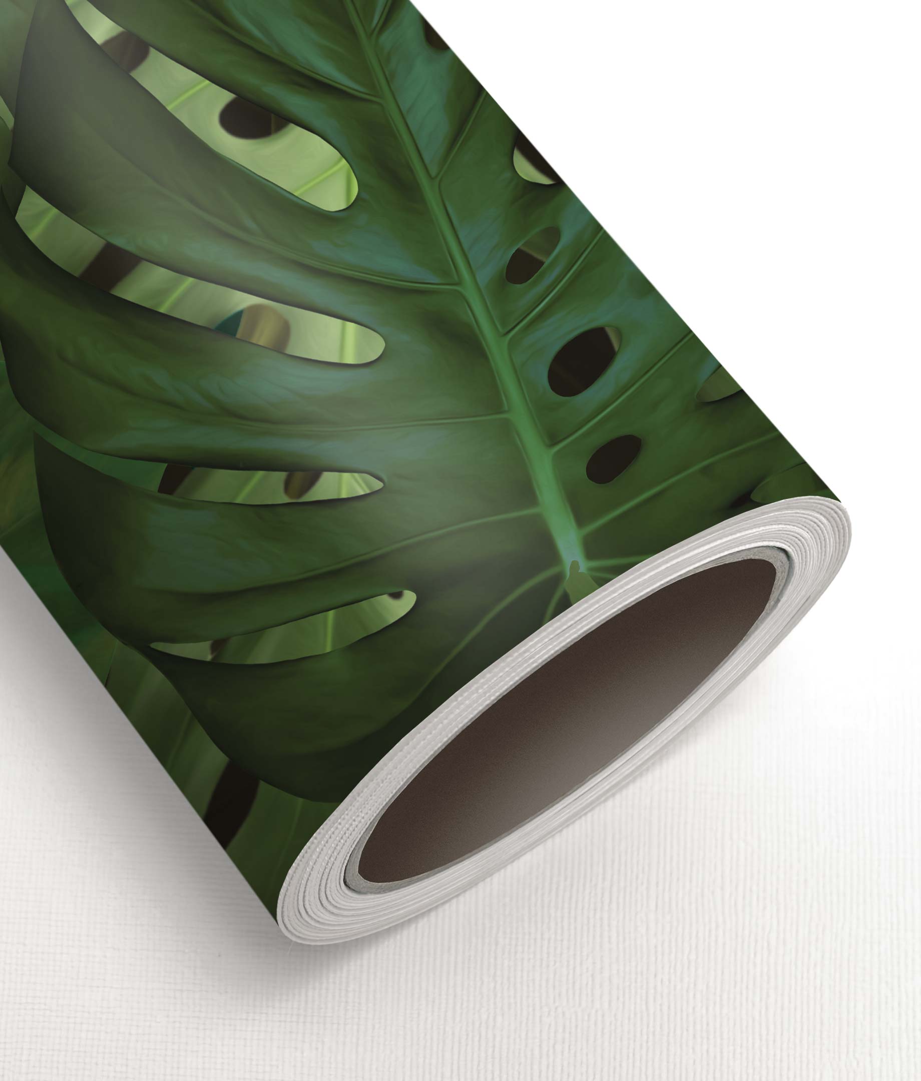 Botanical wallpaper Monstera, 97.4 x 280 cm