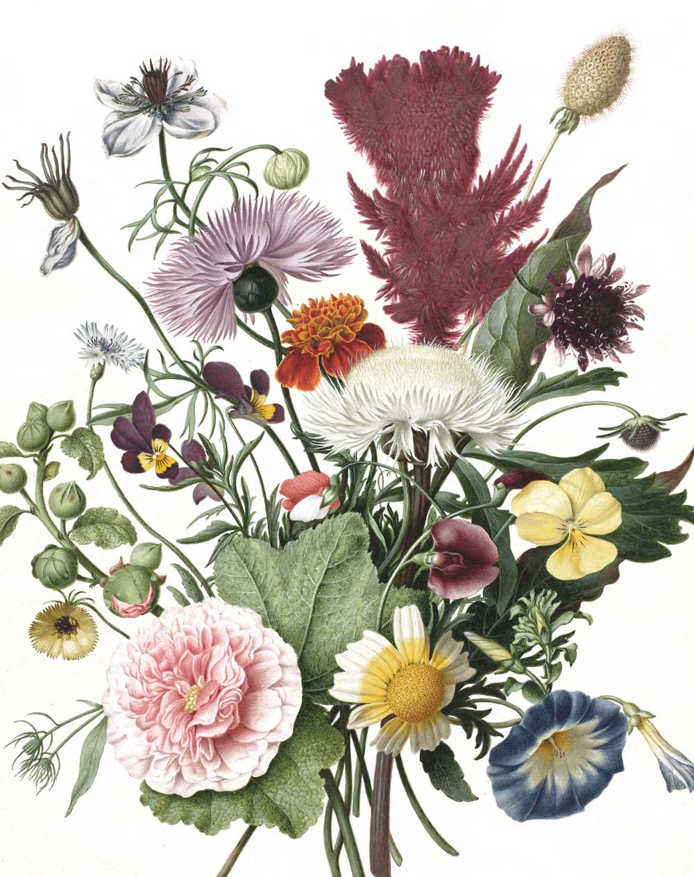 Wallpaper Panel Wild Flowers, 142.5 x 180 cm