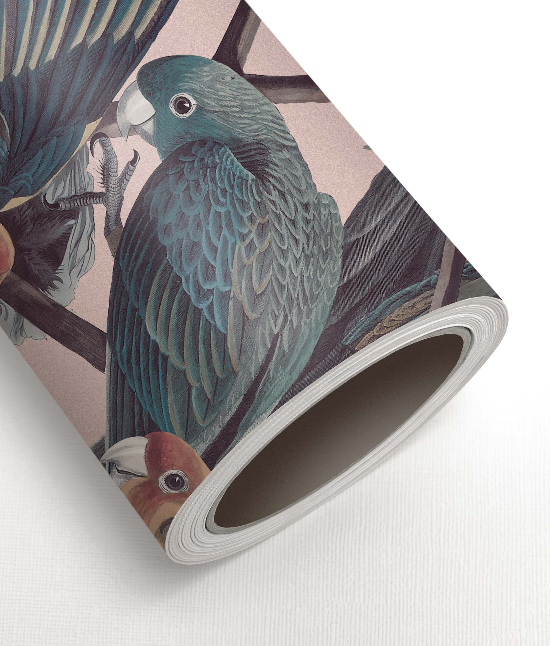 Botanical wallpaper Parrots