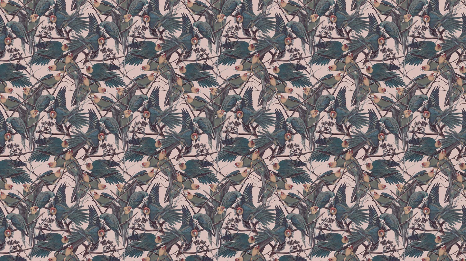 Papel pintado botánico Parrots