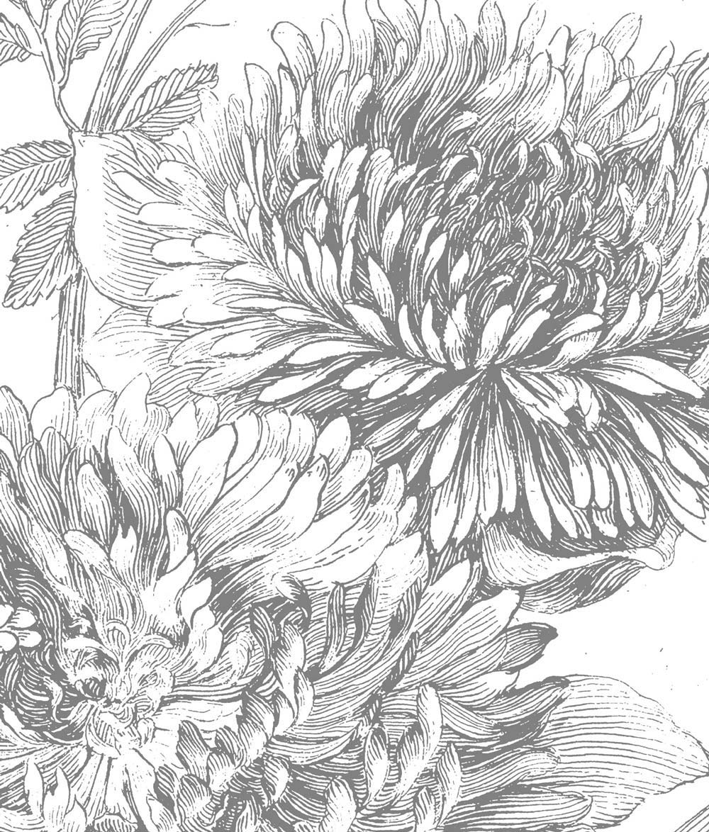 Bloemen behang, Engraved Flowers, WP-330, Close