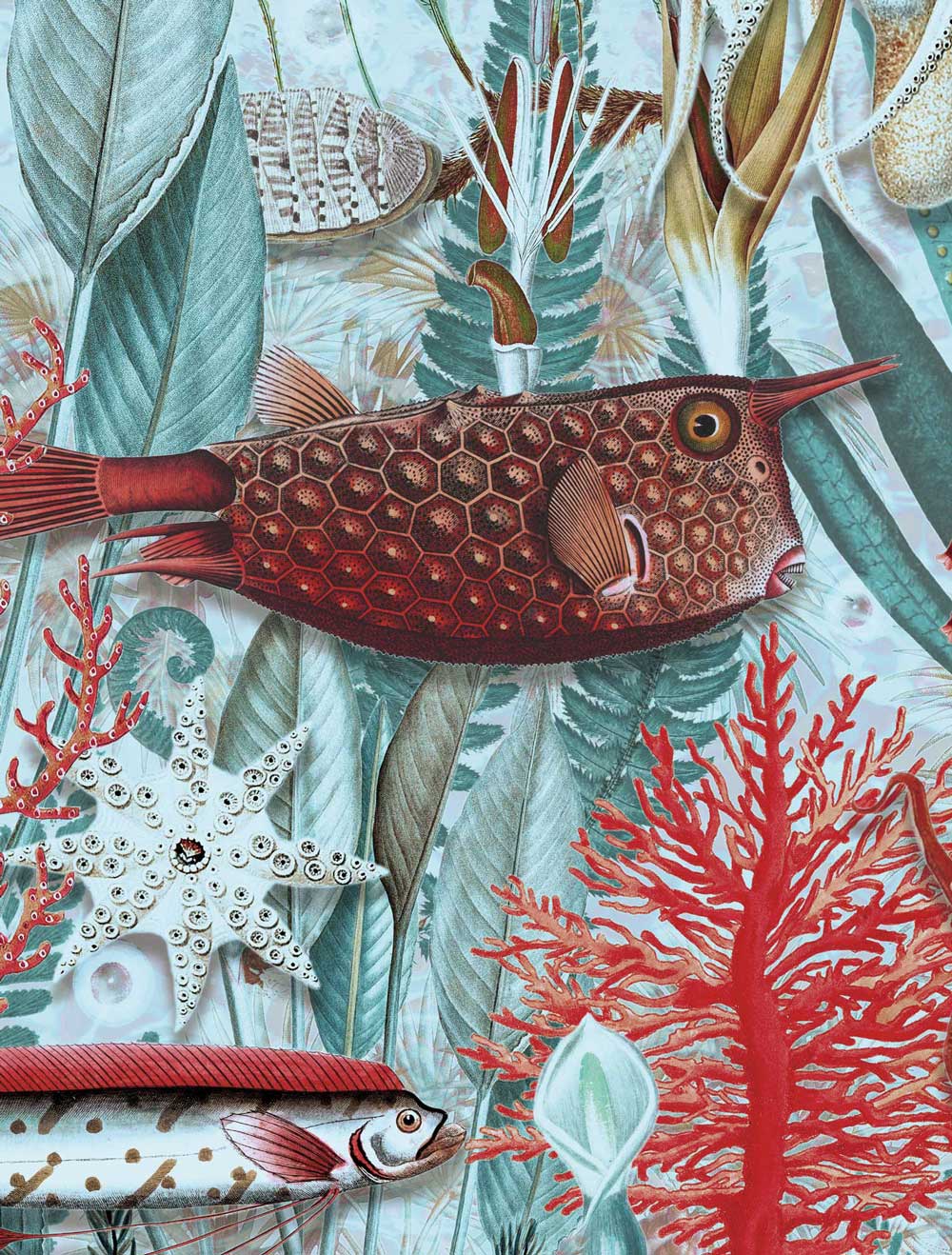 Botanisch vissen behang Underwater Jungle, WP-687 Close