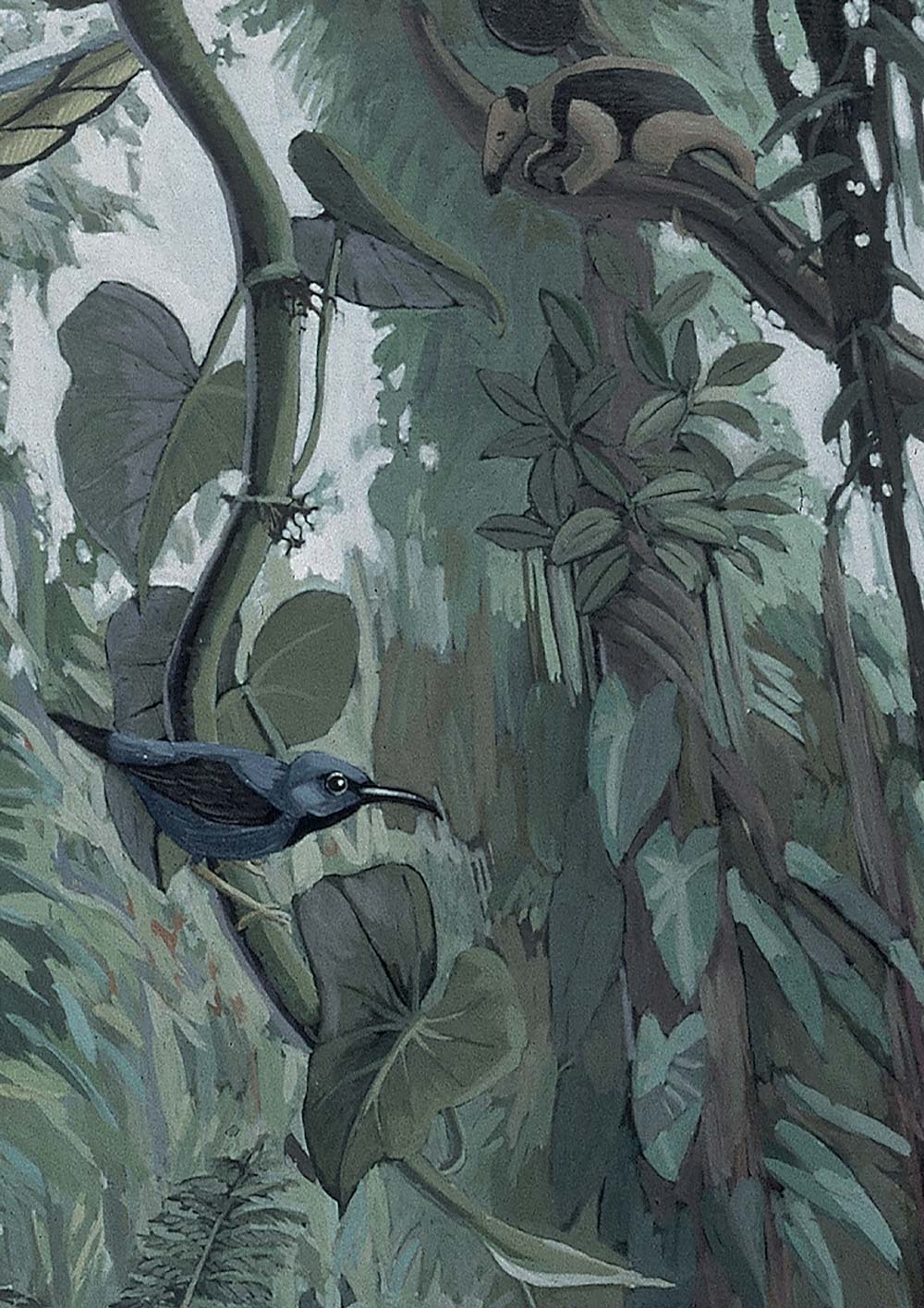 Jungle begang, Tropical Landscapes, WP-600, Close
